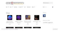 Desktop Screenshot of ear-rational.com